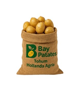 Patates Tohumu - Hollanda Agria 10 KG