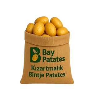 Kızartmalık Patates - Bintje