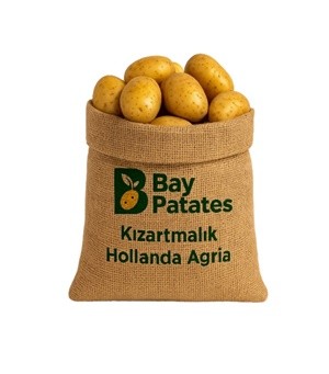 Kızartmalık Patates - Hollanda Agria 10 KG