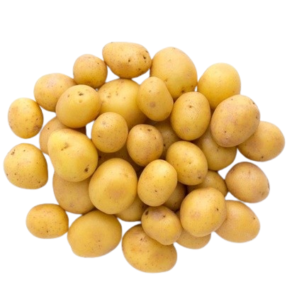 Bebek Patates