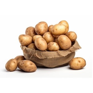 Patates Tohumu - Hollanda Agria 10 KG