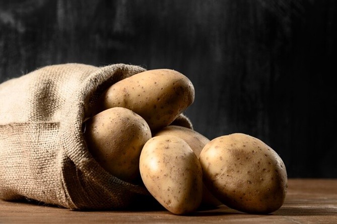 premium Agria Potato Exporter from Turkey – Direct Supply from Farm