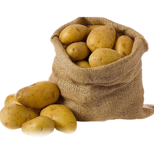 Premium Agria Potatoes from Turkey – A Strategic Supply Partner for Middle Eastern Buyers