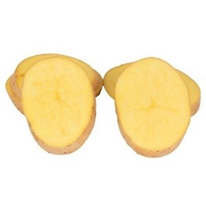 Kızartmalık Patates - Afyon Agria 10 KG